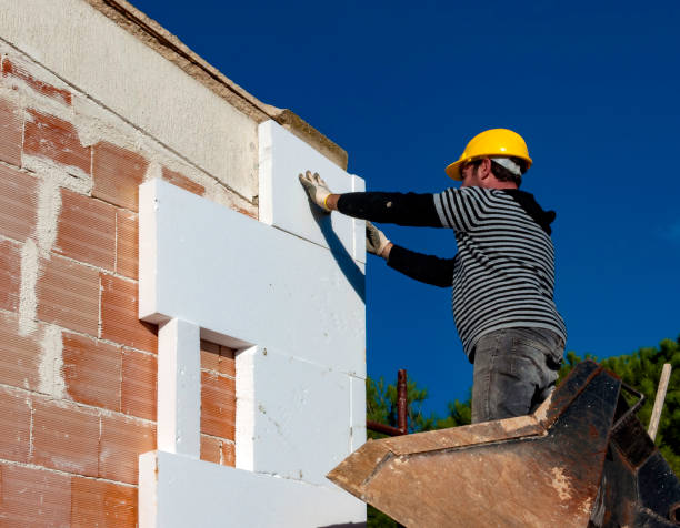 Best Insulation Removal  in Clayco, MO
