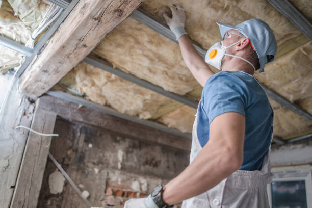 Best Fiberglass Insulation  in Clayco, MO
