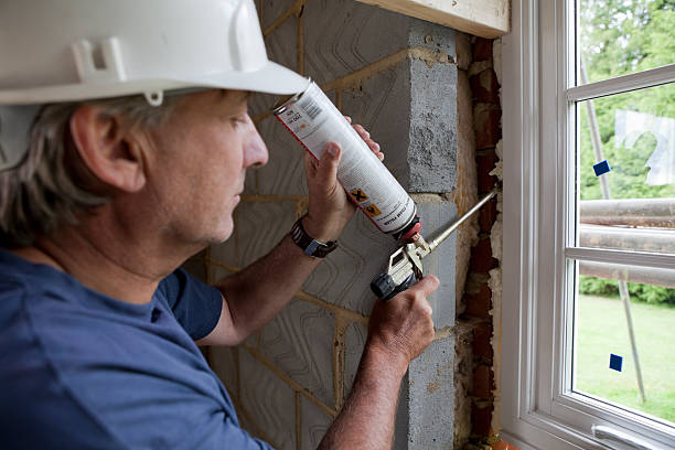 Best Insulation Contractors for Homes  in Clayco, MO