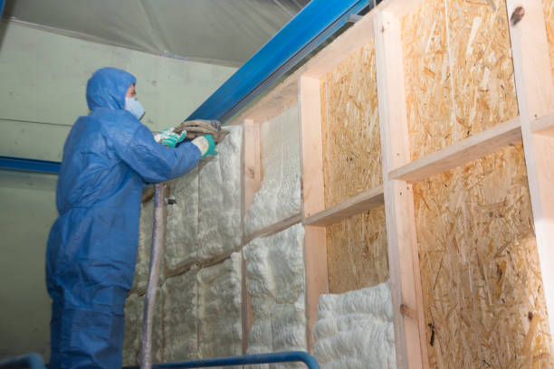 Best Home Insulation Services  in Clayco, MO