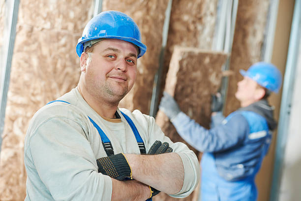 Best Soundproof Insulation Installation  in Clayco, MO