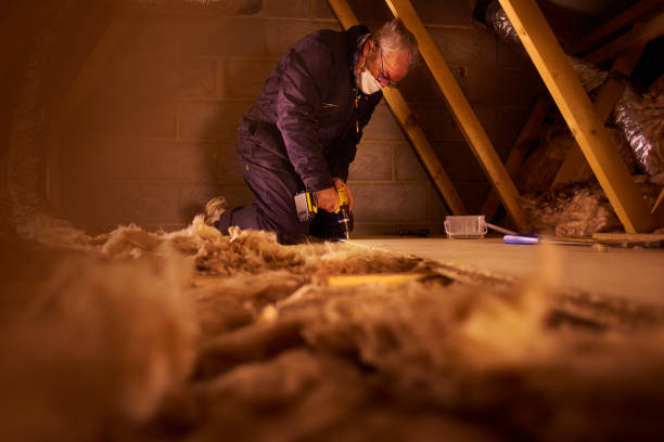 Best Attic Insulation Near Me  in Clayco, MO